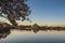 spring cherry blossoms and reflection of Thomas Jefferson memorial in the Tidal basin