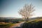 Spring cherry tree, meadows and fields landscape in Slovakia. Blossoming cherry trees. Fresh country in Hrinova