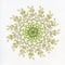 Spring circle of plants on a white background watercolor