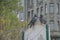 Spring in the city two birds close-up, a pair of pigeons, two pigeons close-up, city birds on the background of a gray building, t