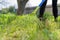 Spring cleaning in the garden, closeup rake cleaning green grass