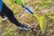 Spring cleaning in the garden, closeup rake cleaning green grass