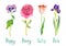 Spring collection of flowers isolated on white, purple poppy, pink peony, red tulip and dark blue iris