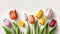 Spring colourful tulip flowers on white background. Flat lay. Space for text. Ai generated