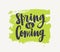 Spring Is Coming lettering written with elegant cursive font or script on green paint smear isolated on white background