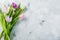 Spring concept - easter, mothers day, flowers on marble background