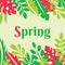 Spring - concept poster vector illustration with leaves of exotic plants. Tropical paradise banner template. Springtime frame