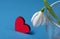 Spring concept. symbol of love and spring. white snowdrop flower and heart. close up