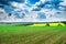 Spring corn field and sky