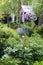 spring in cottage english garden. Blooming syringa meyeri Palibin, wooden archway, catnip (nepeta)