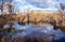 Spring countryside landscape. The flood meadow in early spring