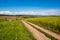 Spring countryside view with dirty road, rapeseed yellow blooming fields, village, hills. Ukraine, Lviv Region