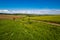 Spring countryside view with dirty road, rapeseed yellow blooming fields, village, hills. Ukraine, Lviv Region