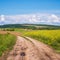 Spring countryside view with dirty road, rapeseed yellow blooming fields, village, hills. Ukraine, Lviv Region