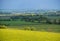 Spring countryside view with rapeseed yellow blooming fields  groves  hills. Ukraine  Lviv Region