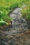 Spring creek among rocks and green grass. Mountain stream on summer day