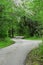 Spring on a Curvy Country Road