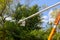 Spring cutting tree care pruning by the man standing on crane lifting platform of the hydraulic