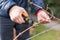 Spring cutting trees and grapes,  gardener pruning a tree concept.