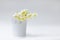 Spring daffodils bouquet in the vase on white background