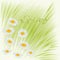 Spring daisies green background vector