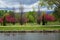 Spring Day at a Park in Boise, Idaho