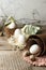 The spring decoration placed on the wood desk - eggs, decorative bunny rabbit. Springtime festive holiday background