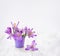 Spring decoration. Violet crocuses in small violet bucket on a table wooden white and light background with space for text