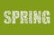 SPRING. Decorative Font made of swirls and floral elements on a green background