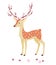 Spring deer isolated on white background. Vector illustration.