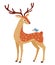 Spring deer isolated on white background. Vector illustration.