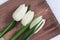 Spring delicate flowers white colored, bouquet of tulips on wooden table. Natural flowery background