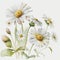 Spring Delight: Captivating Daisy Watercolor for Your Designs AI Generated