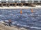 Spring discharge of water at a hydroelectric power station. Buoys limit the danger zone.