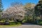 Spring Driveway Entrance