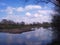 Spring in dutch river forelands