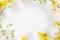 Spring Easter background with white eggs forsythia flowers