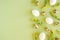 Spring easter floral border. Natural tree branches, yellow flowers and various eggs on green background with copy space. Creative