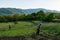 Spring Evening Chores: Farming and Livestock in the Countryside