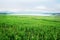 Spring evening photo of Lake Most viewed from the verdant fields in North Bohemia landscape