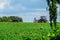 Spring farm work on the Russian fields in the Kaluga region.