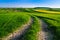 Spring farmland in Roztocze. Lublin province