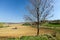 Spring farmland with tractor