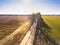 Spring fields. Dirt rural road and birch alley