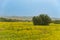 Spring fields landscape of Karpasia Peninsul, Cyprus with wild donkeys in the background