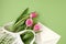 Spring flat lay with string bag isolated on green background