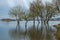 Spring flood in Kaunas, confluence of the Nemunas and the Neris ND1000 Flooded park, trees, city infrastructure. Water level, rive