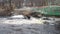 Spring flood. Rushing water in the river. Dark ferrous water rushes in the stream. Karelia, Lososinka River in spring