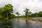 Spring flood Wakulla River, Florida, USA