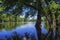 Spring flooding, mississippi river